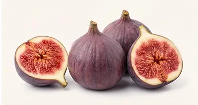 Geleias, Chutneys e Molhos - Mippo Alimentos