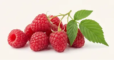 Geleias, Chutneys e Molhos - Mippo Alimentos